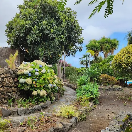 Oasis Hill Botanical Garden *