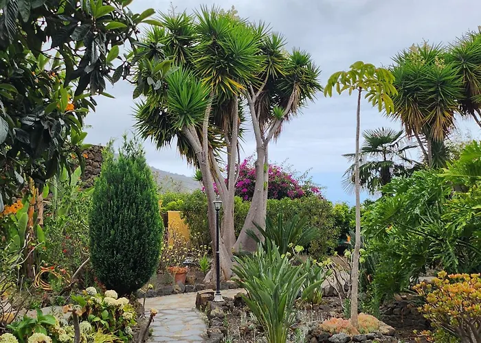 Oasis Hill Botanical Garden *