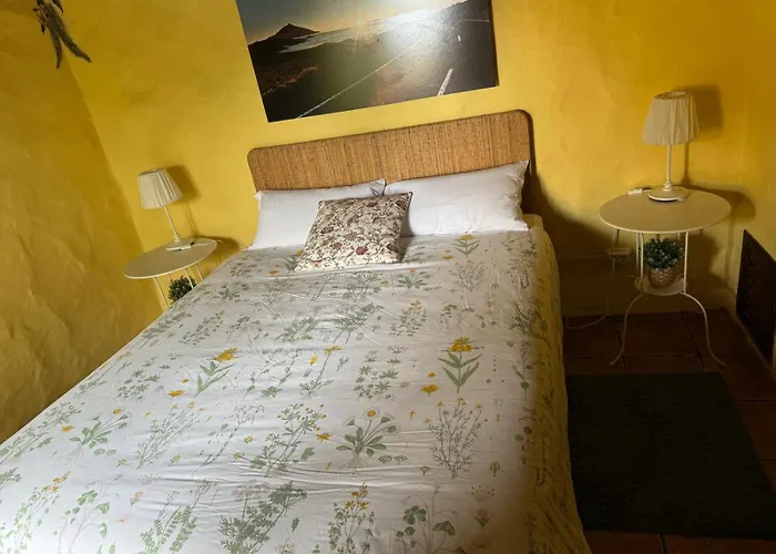 Oasis Hill Botanical Garden * Icod De Los Vinos