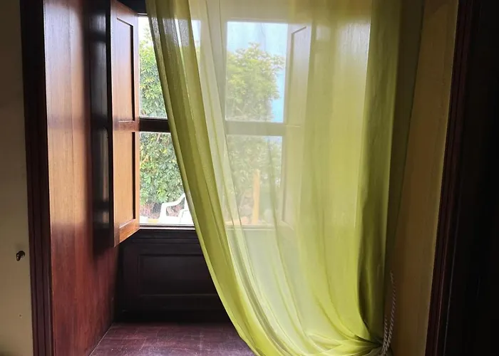 Oasis Hill Botanical Garden Lodge