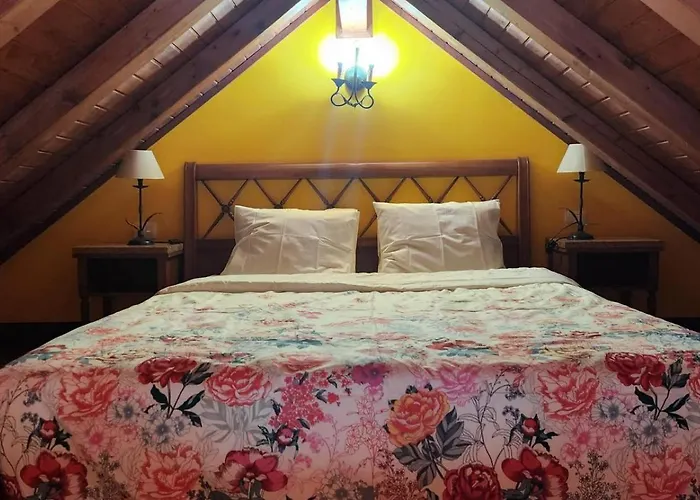 Lodge Oasis Hill Botanical Garden