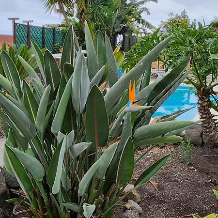 Oasis Hill Botanical Garden איקוד דה לוס וינוס