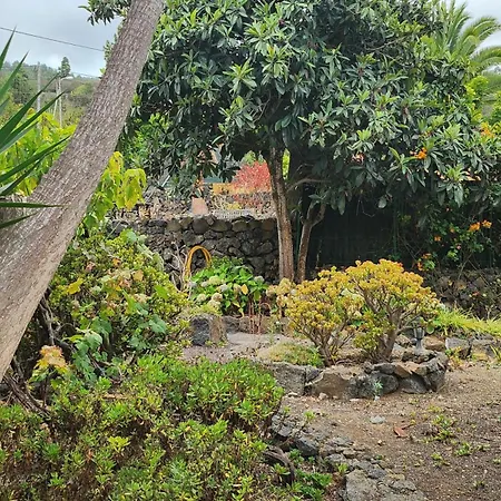 Oasis Hill Botanical Garden אכסניה *