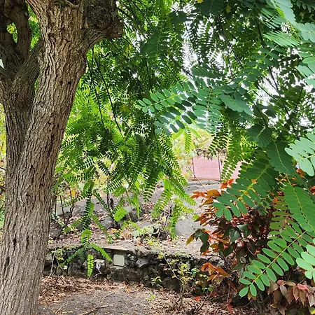 אכסניה Oasis Hill Botanical Garden איקוד דה לוס וינוס