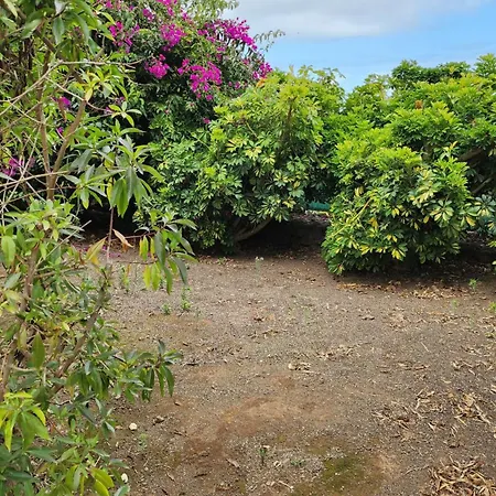 Oasis Hill Botanical Garden