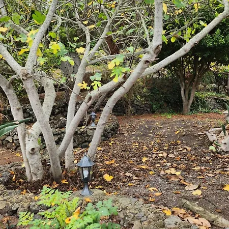 Oasis Hill Botanical Garden אכסניה איקוד דה לוס וינוס