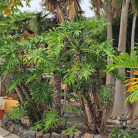 Oasis Hill Botanical Garden אכסניה