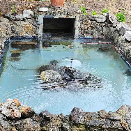 Oasis Hill Botanical Garden אכסניה *