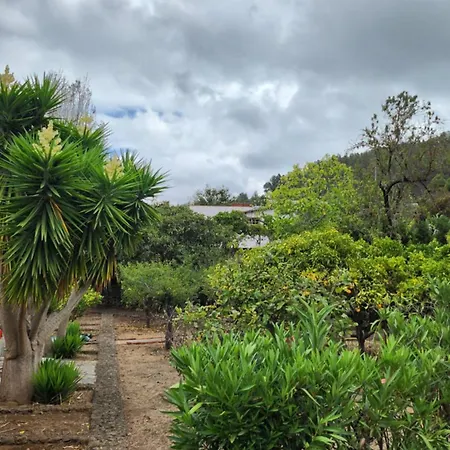 Oasis Hill Botanical Garden איקוד דה לוס וינוס