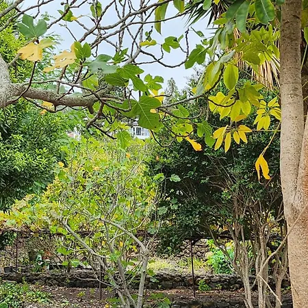 אכסניה Oasis Hill Botanical Garden