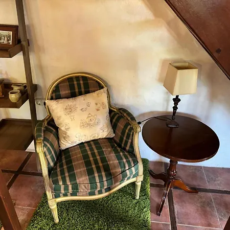 אכסניה Oasis Hill Botanical Garden *