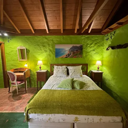 אכסניה Oasis Hill Botanical Garden איקוד דה לוס וינוס