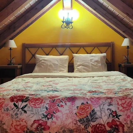 אכסניה Oasis Hill Botanical Garden