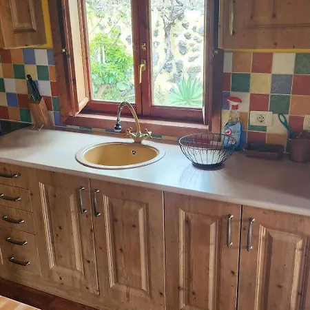 Oasis Hill Botanical Garden * איקוד דה לוס וינוס