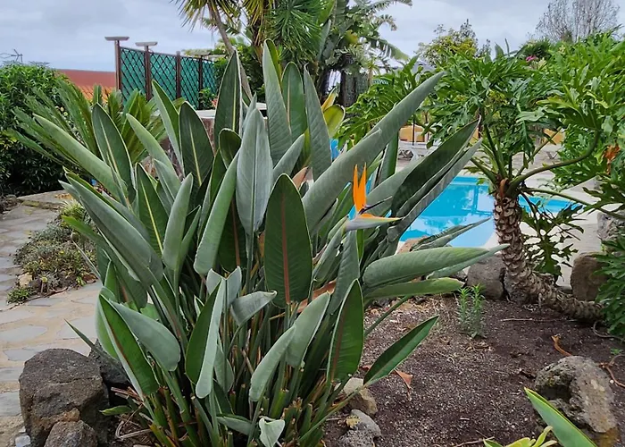 Oasis Hill Botanical Garden 이코드레로스비노스