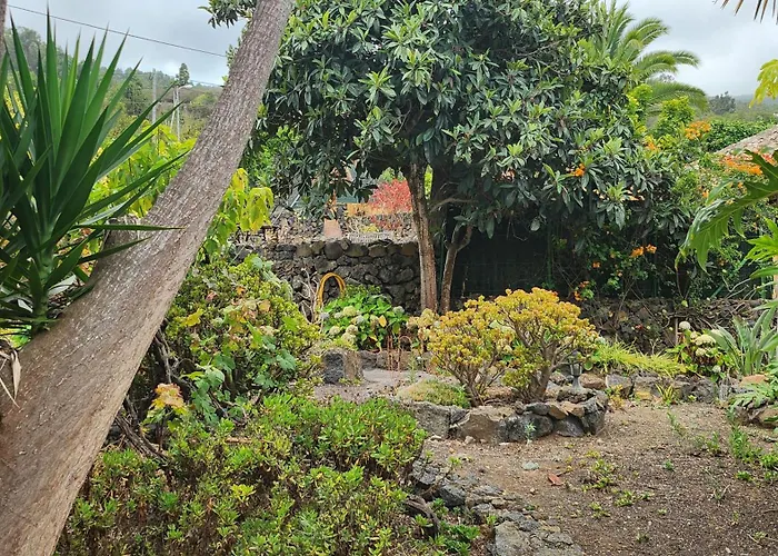 Oasis Hill Botanical Garden 롯지 *