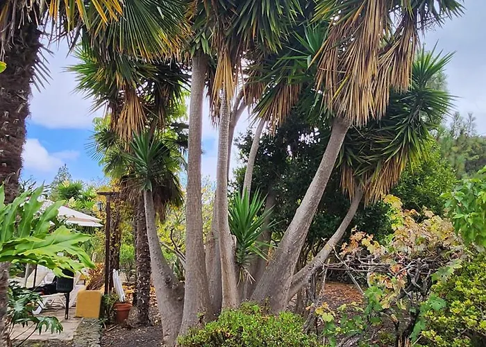 Oasis Hill Botanical Garden 롯지 이코드레로스비노스