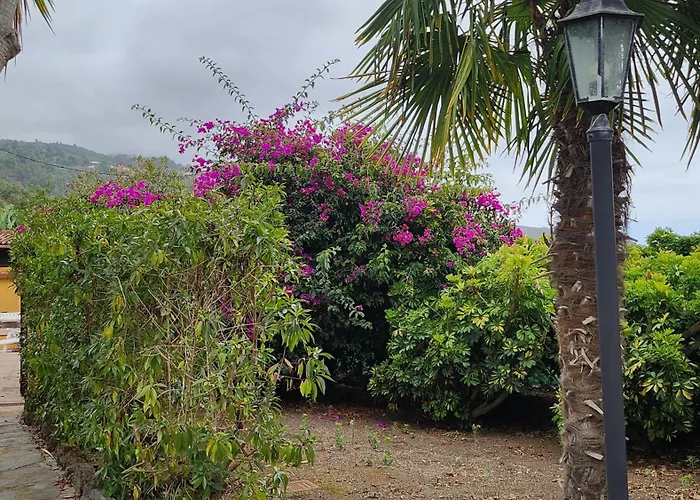 Oasis Hill Botanical Garden * 이코드레로스비노스