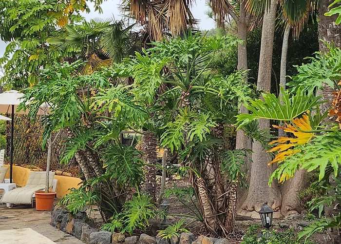 Oasis Hill Botanical Garden 롯지