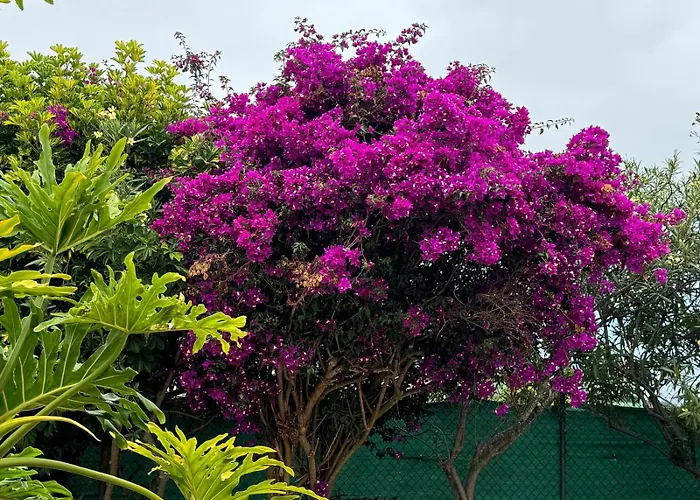 롯지 Oasis Hill Botanical Garden 이코드레로스비노스