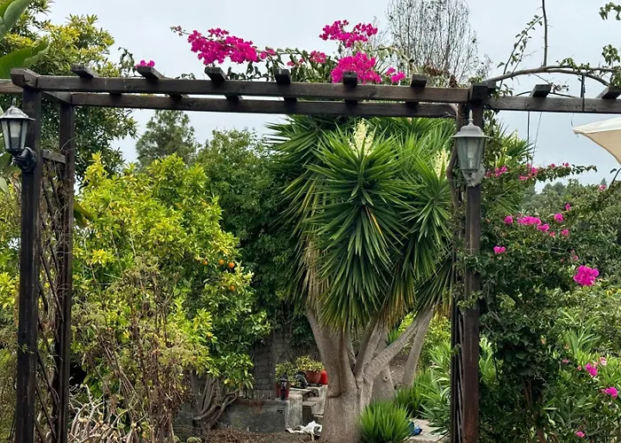 롯지 Oasis Hill Botanical Garden 이코드레로스비노스