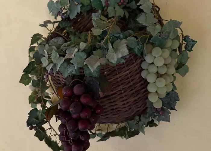 Oasis Hill Botanical Garden *