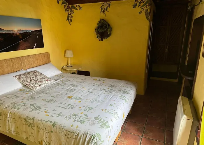 Oasis Hill Botanical Garden 롯지 *