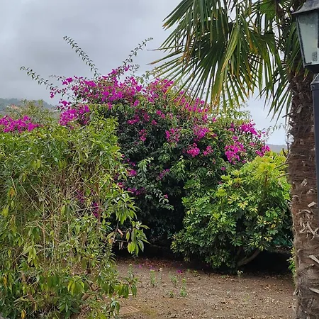 Oasis Hill Botanical Garden * إيكود ذي لوس فينوس