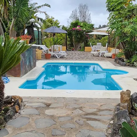 Oasis Hill Botanical Garden * Icod De Los Vinos