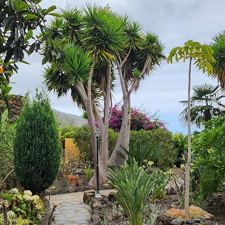 Oasis Hill Botanical Garden *