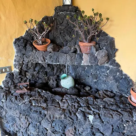 Oasis Hill Botanical Garden *