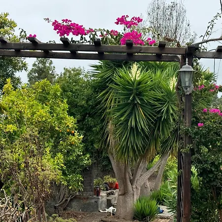 롯지 Oasis Hill Botanical Garden 이코드레로스비노스