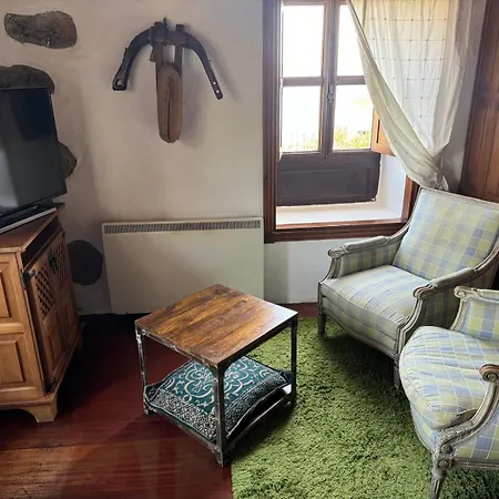 Oasis Hill Botanical Garden * Icod De Los Vinos