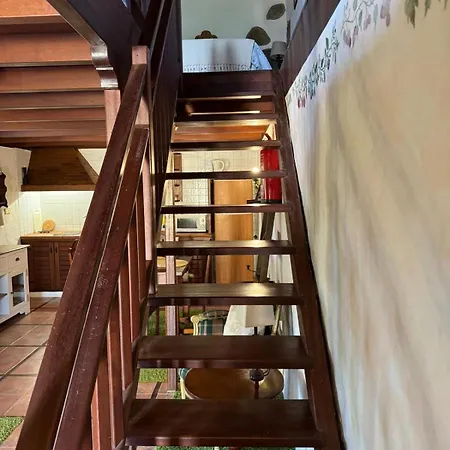 Alojamento de Turismo Selvagem Oasis Hill Botanical Garden *