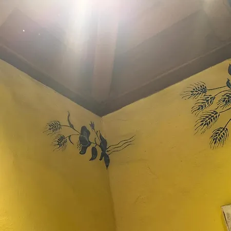 Oasis Hill Botanical Garden * 이코드레로스비노스