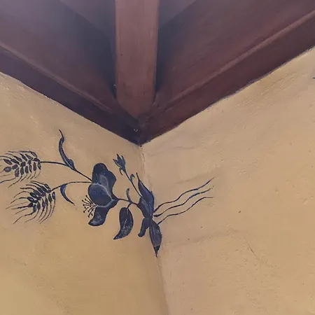 Oasis Hill Botanical Garden Lodge