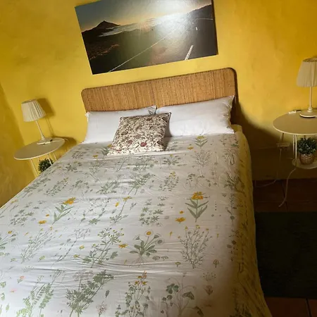 Oasis Hill Botanical Garden * Icod De Los Vinos