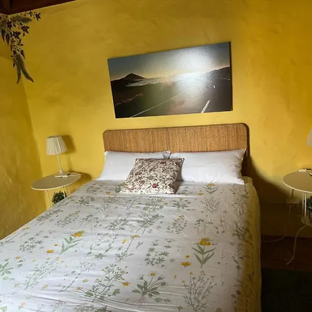 Oasis Hill Botanical Garden *