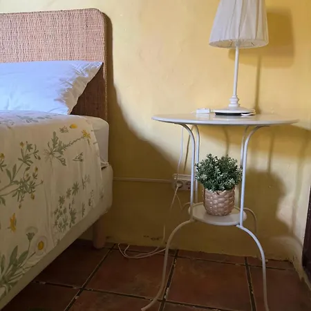 Oasis Hill Botanical Garden Icod De Los Vinos