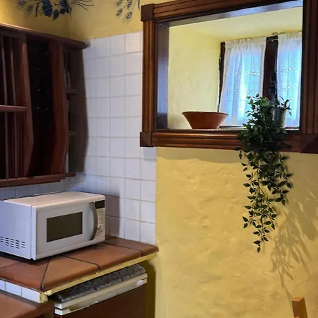 Oasis Hill Botanical Garden *