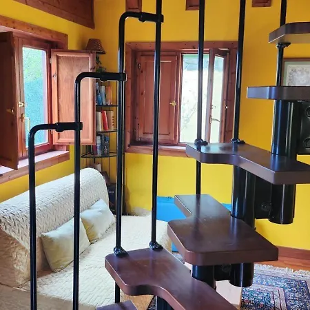 Alojamento de Turismo Selvagem Oasis Hill Botanical Garden Icod De Los Vinos