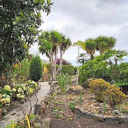 Chata Oasis Hill Botanical Garden