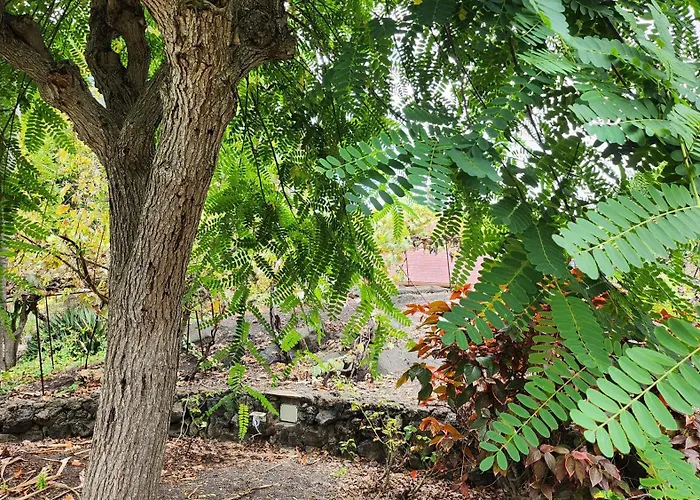 بيت خشبي Oasis Hill Botanical Garden إيكود ذي لوس فينوس