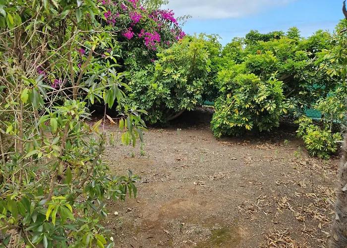 Oasis Hill Botanical Garden