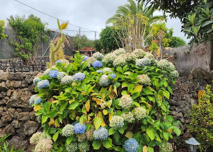 Oasis Hill Botanical Garden