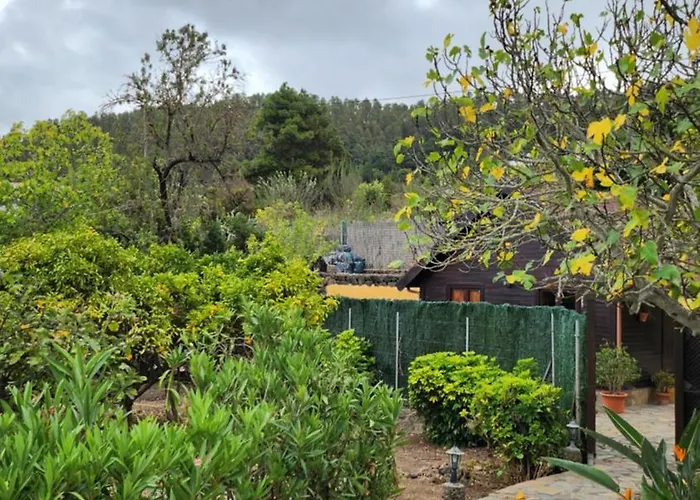 بيت خشبي Oasis Hill Botanical Garden *