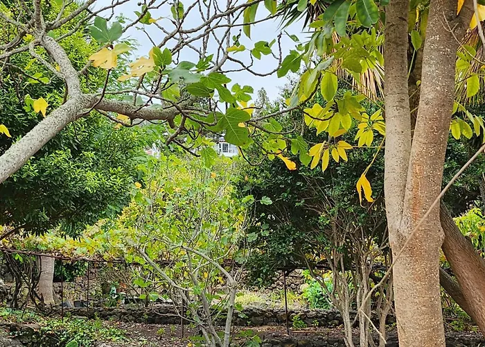 بيت خشبي Oasis Hill Botanical Garden