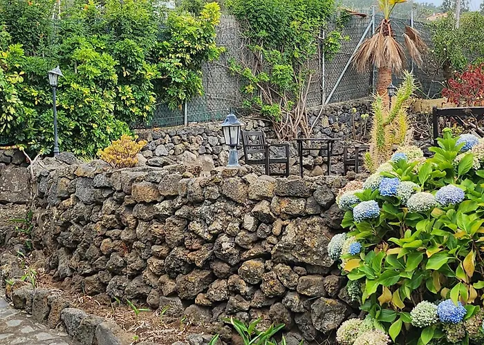 بيت خشبي Oasis Hill Botanical Garden *