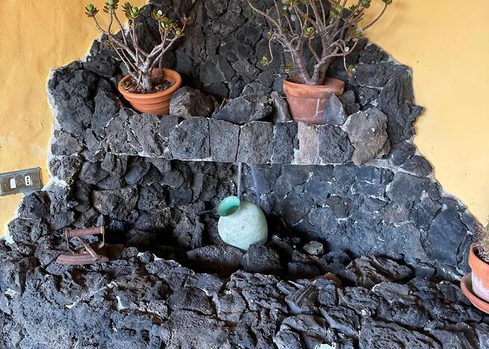 Oasis Hill Botanical Garden *