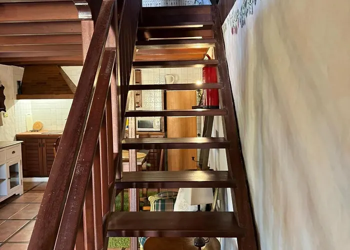 بيت خشبي Oasis Hill Botanical Garden *